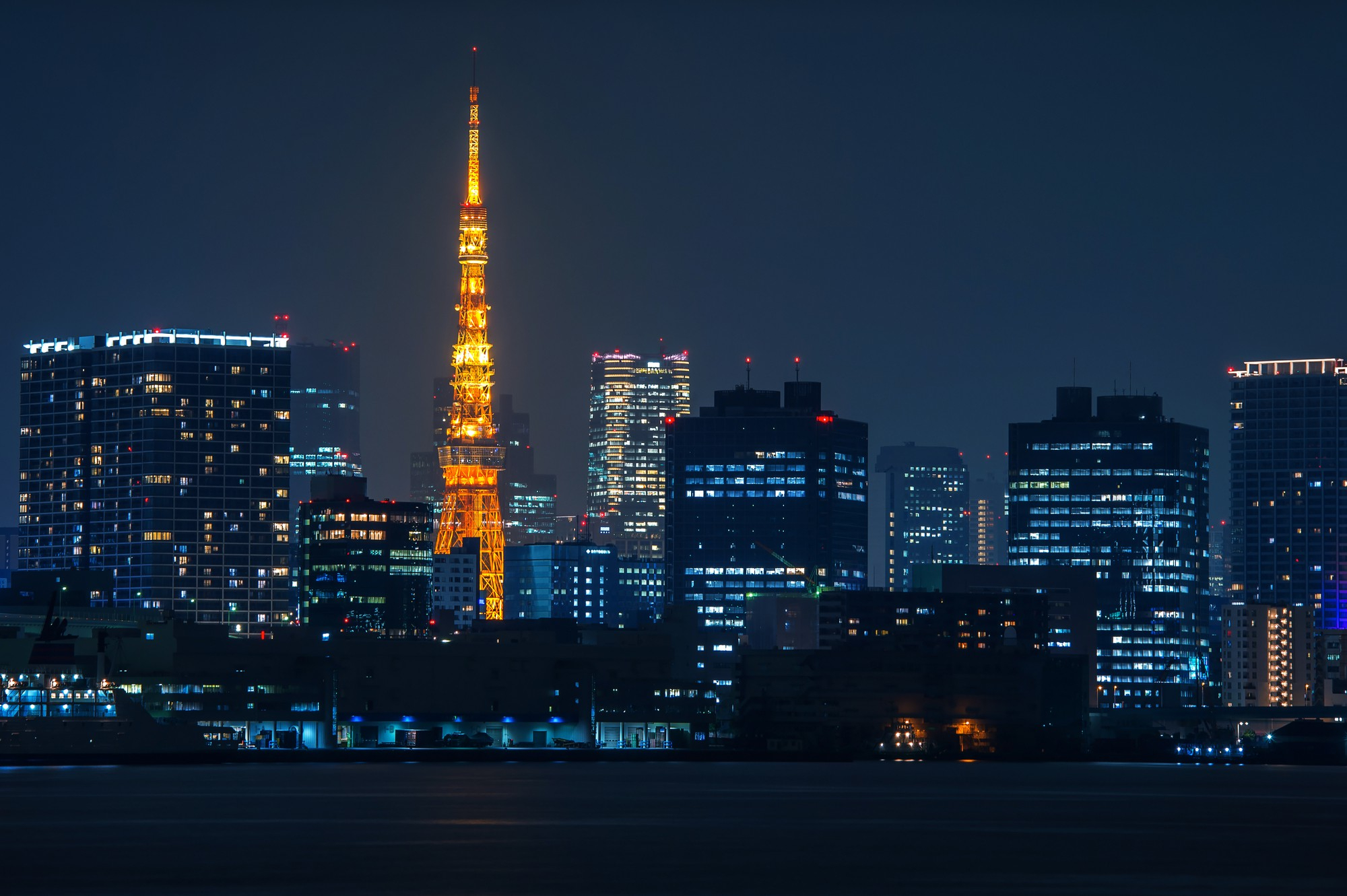 Tokyo skyline at night